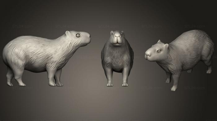 Статуэтки животных (Золотая капибара, STKJ_1021) 3D модель для ЧПУ станка